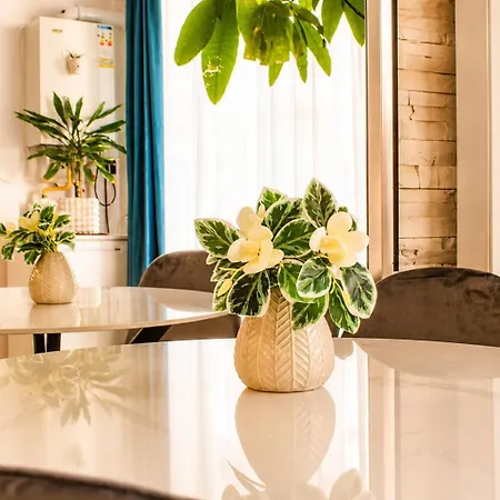 Eve Mamaia Sat Διαμέρισμα Năvodari